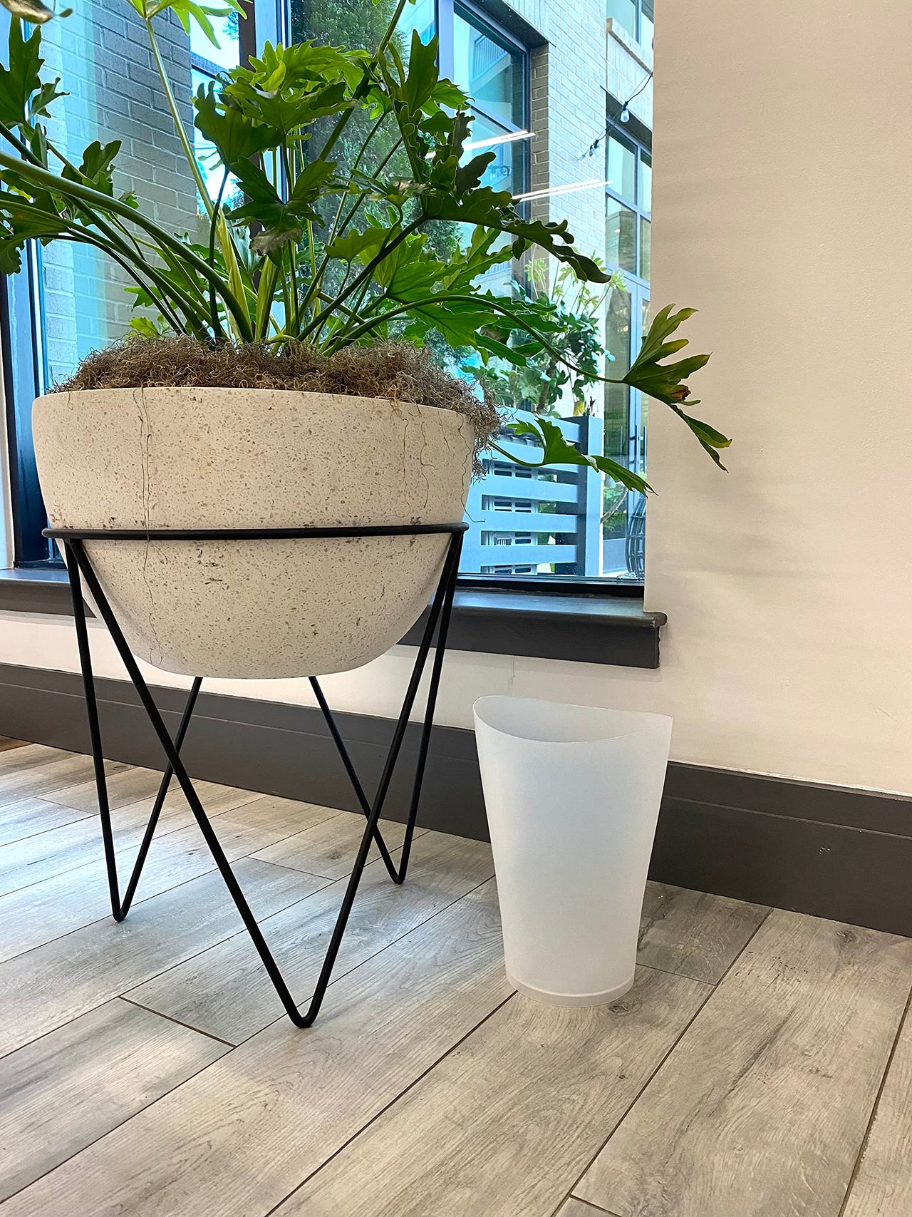 Rubbermaid Spa Works Compact Contemporary Style 9 Quart Indoor Open Vanity Home Trash Container, White Clear Pack of 1