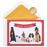 Papyrus Dog Birthday Card (Smile You're Awesome) FSC BIRTHDAY PET PHOTO BOOTH