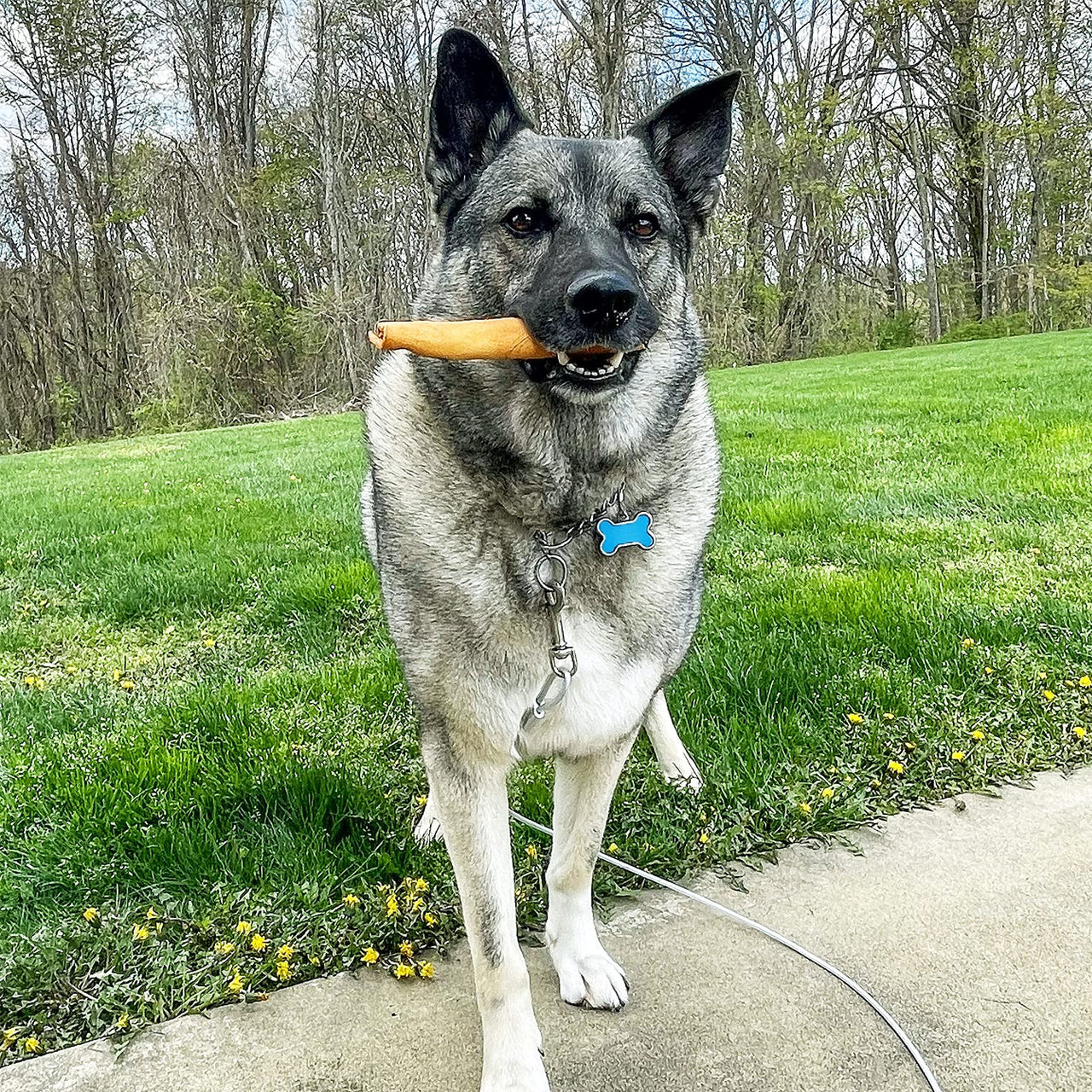 Pet Factory American Beefhide 3" Donuts Dog Chew Treats - Chicken Flavor, 8 Count/1 Pack 11.18 Ounce (Pack of 1)