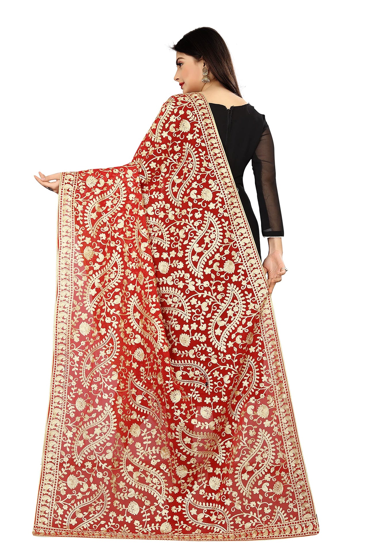 AKSHAR LLC Women's  Embroidered Chiffon Dupatta