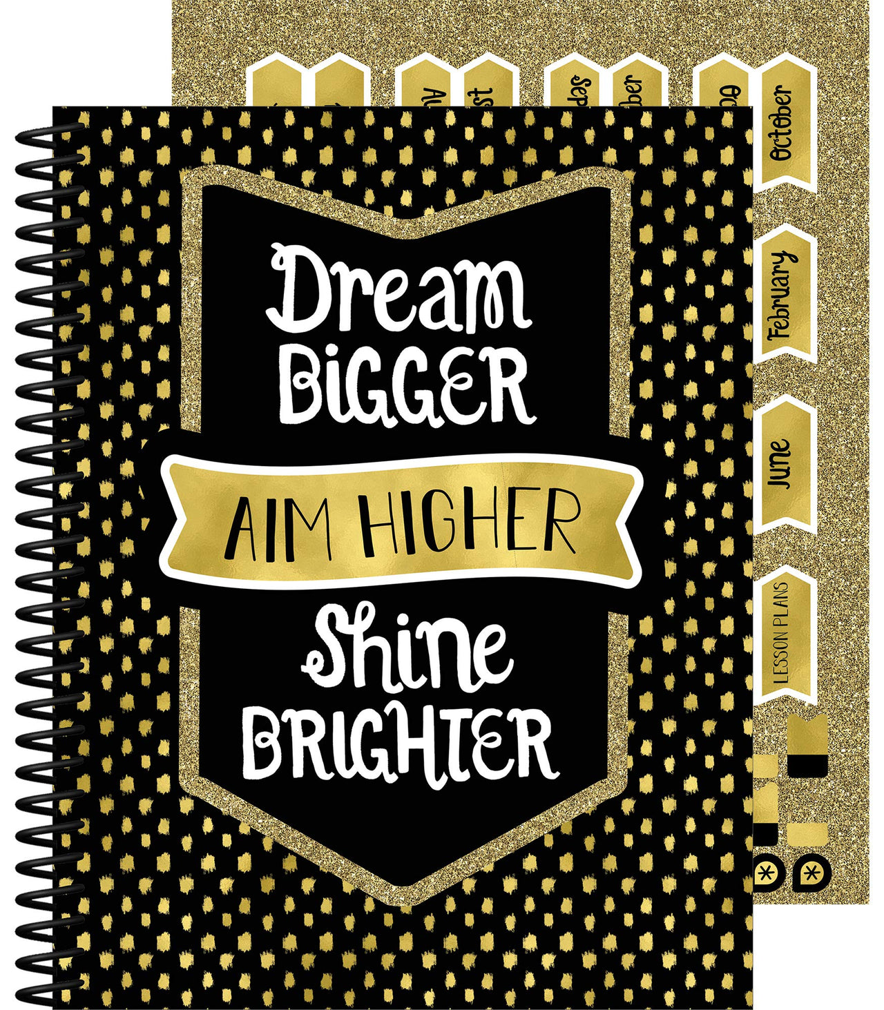 Carson Dellosa Sparkle and Shine Academic Teacher Planner—Undated Weekly/Monthly Plan Book, Lesson Planner and Record Organizer for Classroom or Homeschool (8.4" x 10.9)