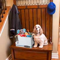 Bankers Box 12 Pack Standard Duty File Storage Boxes, Standard Assembly, Removable Lid, Letter/Legal (0071301)