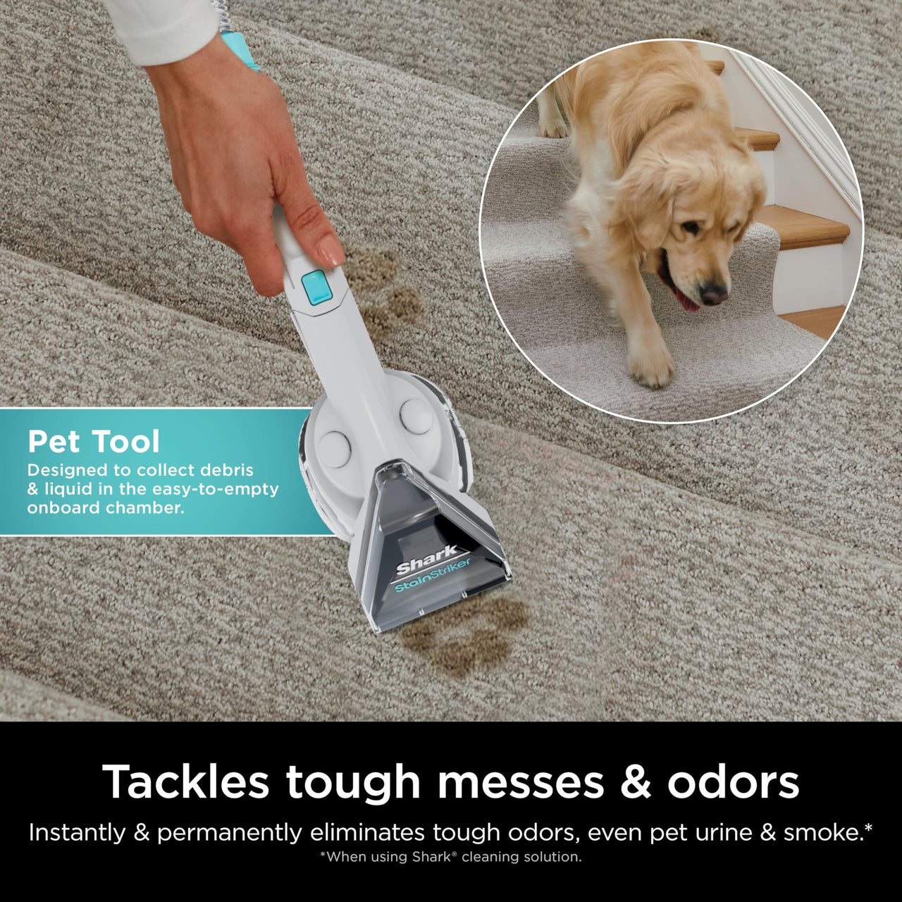 Shark EX201 CarpetXpert Upright Carpet, Area Rug & Upholstery Cleaner with StainStriker, Built-in Spot & Stain Cleaner, Perfect for Pets, Deep Cleaning & Tough Stain Removal, Carpet Shampooer, Cyan Shark CarpetXpert with StainStriker