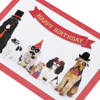 Papyrus Dog Birthday Card (Smile You're Awesome) FSC BIRTHDAY PET PHOTO BOOTH
