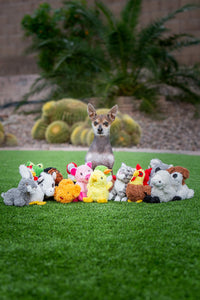 Multipet Look Who's  Talking Dog Toy, Chicken