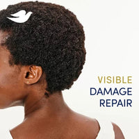 Dove Nourish & Restore 5-In-1 Conditioner, 33.8 Fl. Oz.