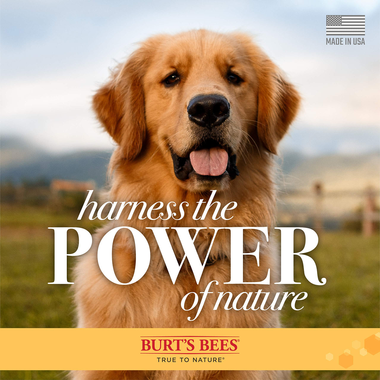 Burt's  Bees for Pets Oatmeal Conditioner with Colloidal Oat Flour & Honey | Dog Oatmeal Shampoo, Cruelty Free, Sulfate & Paraben Free, pH Balanced for Dogs - Made in the USA | 10 Oz - 2 Pack