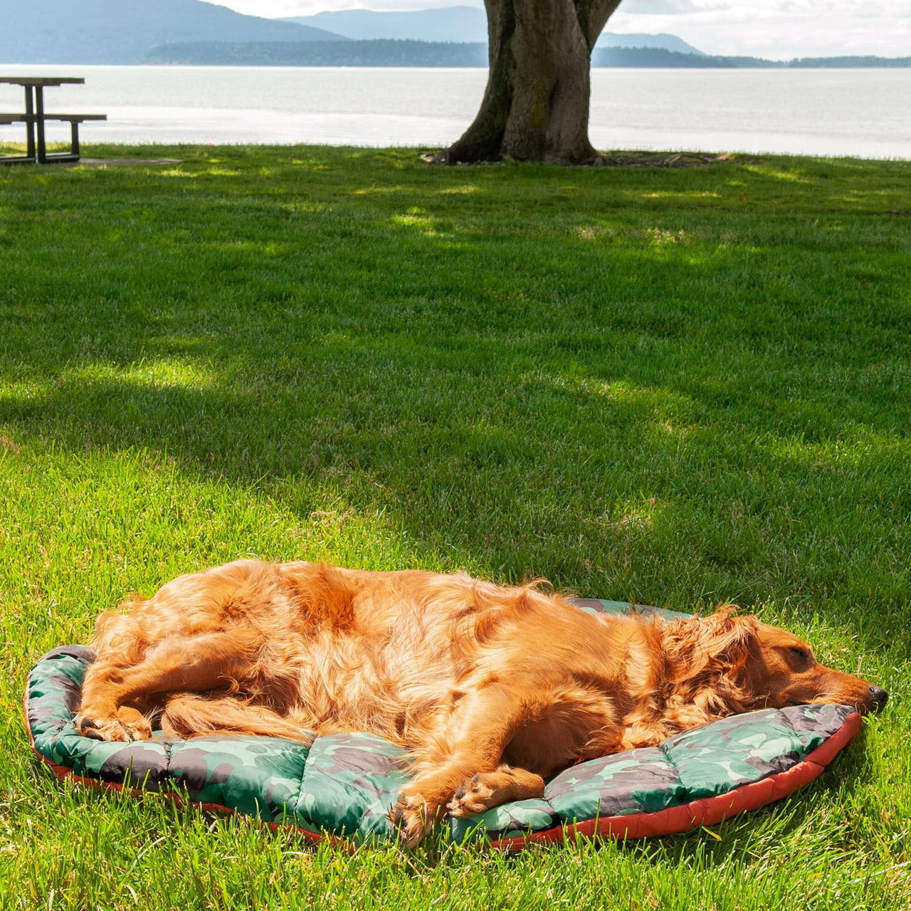 Furhaven Outdoor Travel Dog Bed for Large/Medium Dogs w/ Carry Bag, Washable & Foldable, Great for Crates & Kennels - Trail Pup Travel Pillow Mat w/ Stuff Sack Bag - Paprika/Camo-Paw, Large Trail Pup Travel Bed 39.0"L x 27.0"W x 2.0"Th