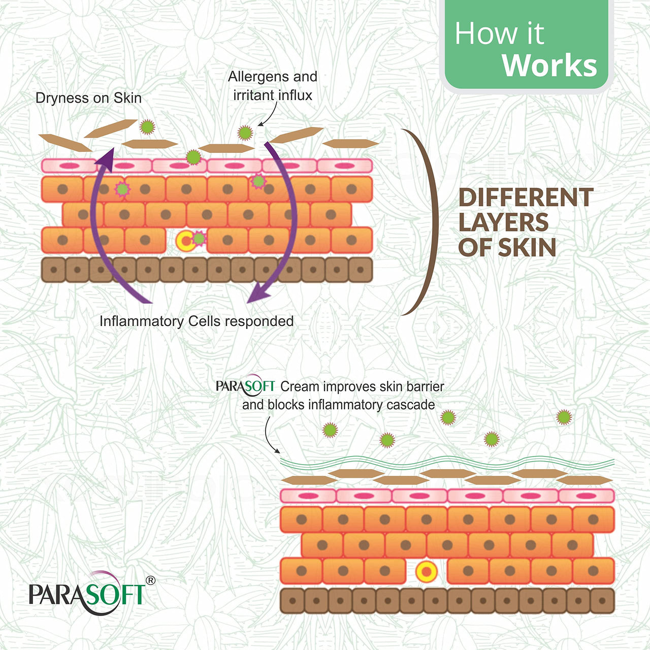 Parasoft Cream for Dry & Dehydrated Skin Intense Nourishing Cold Cream for Winter with Goodness of Aloe vera Moisturizing Cream Men & Women Quick Absorbing & Paraben Free - 500 Gm