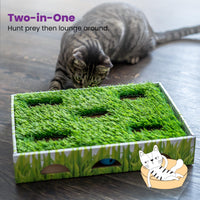 Catstages Grass Patch Hunting Box Cat Toy