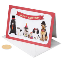 Papyrus Dog Birthday Card (Smile You're Awesome) FSC BIRTHDAY PET PHOTO BOOTH