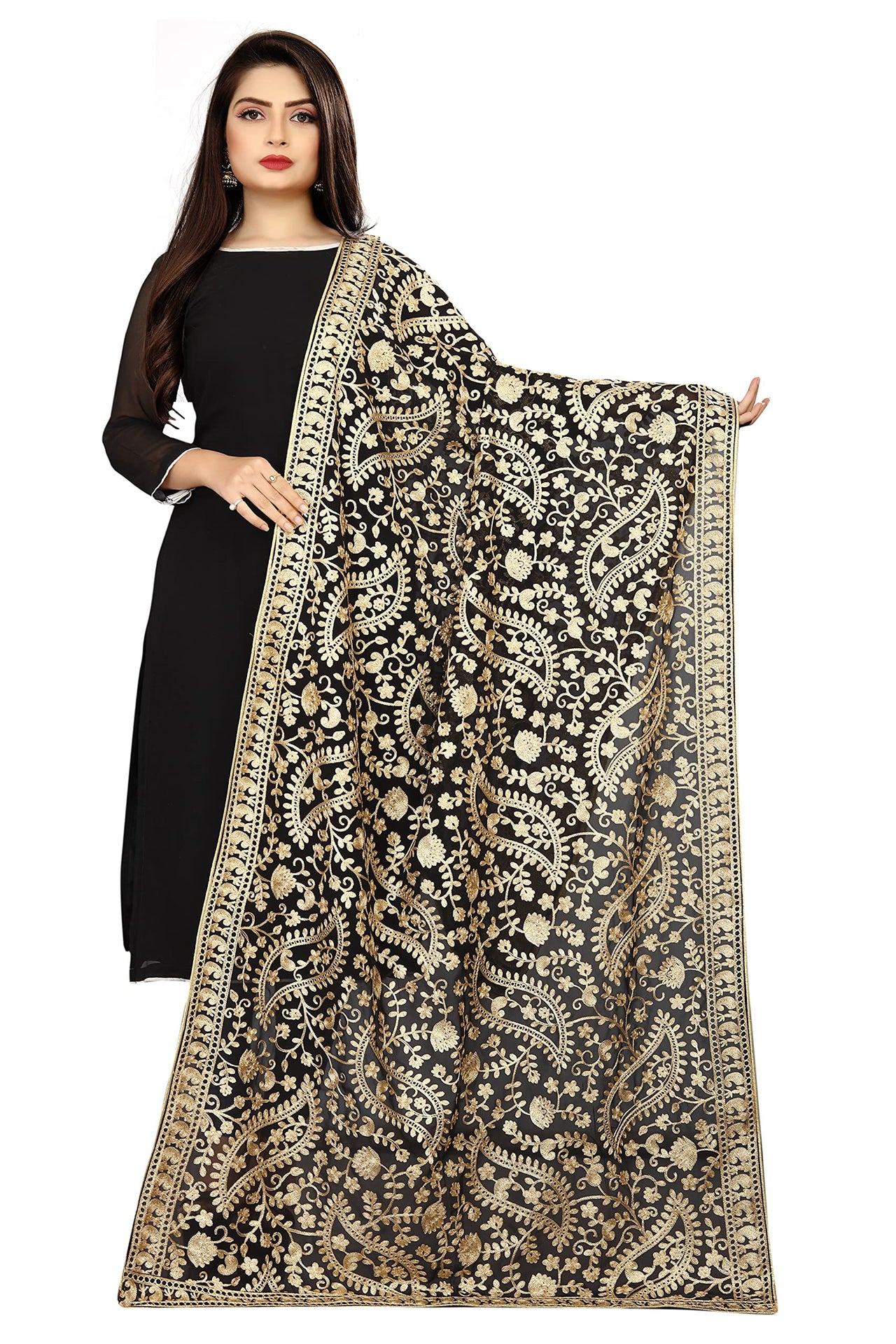 AKSHAR LLC Women's  Embroidered Chiffon Dupatta