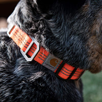 Carhartt Dog Collar Hunter Orange/Brushed Nickel Medium