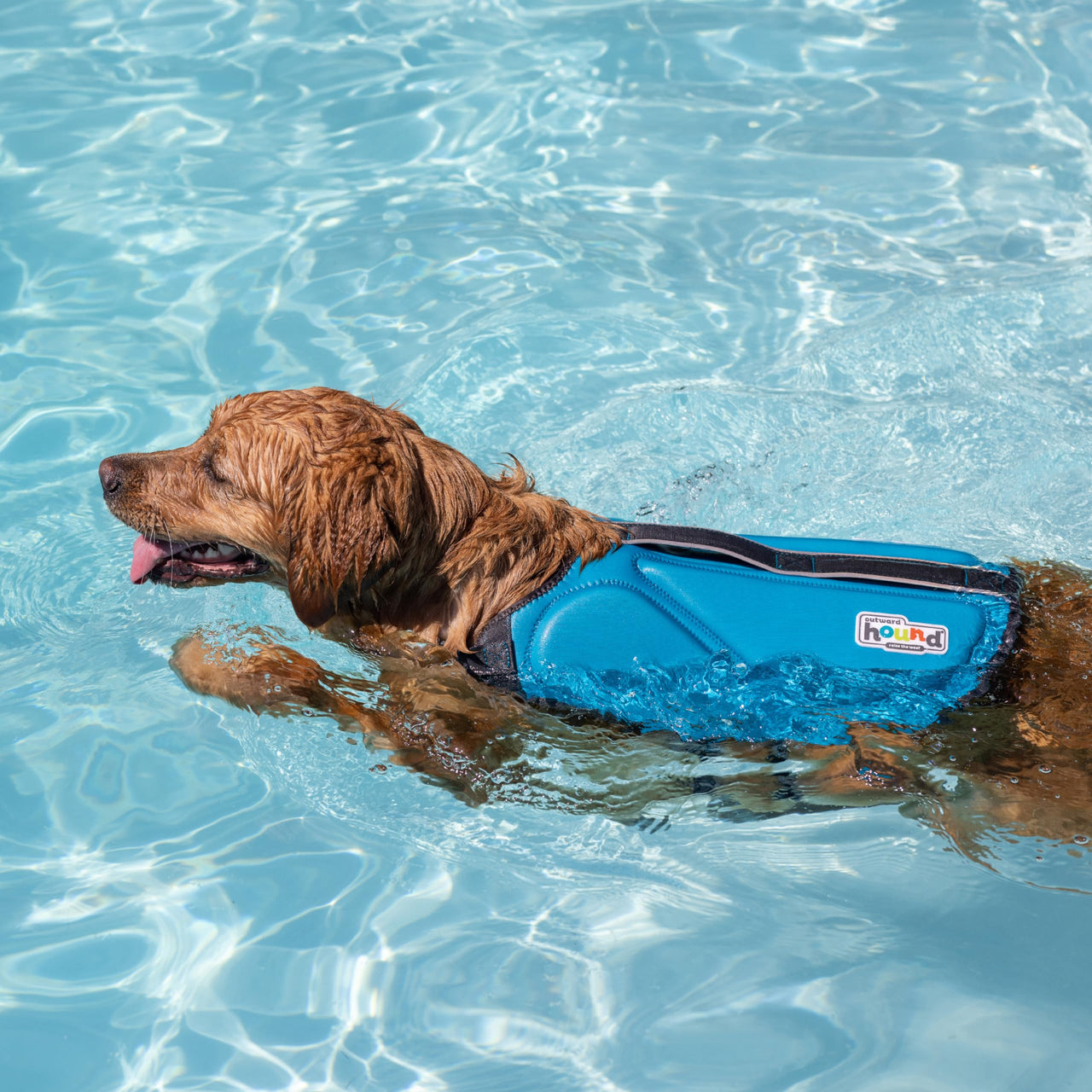 Outward Hound Dawson Swim Blue Dog Life Jacket, Small Dawson (Warmth) Small (Chest Girth: 16"-20")