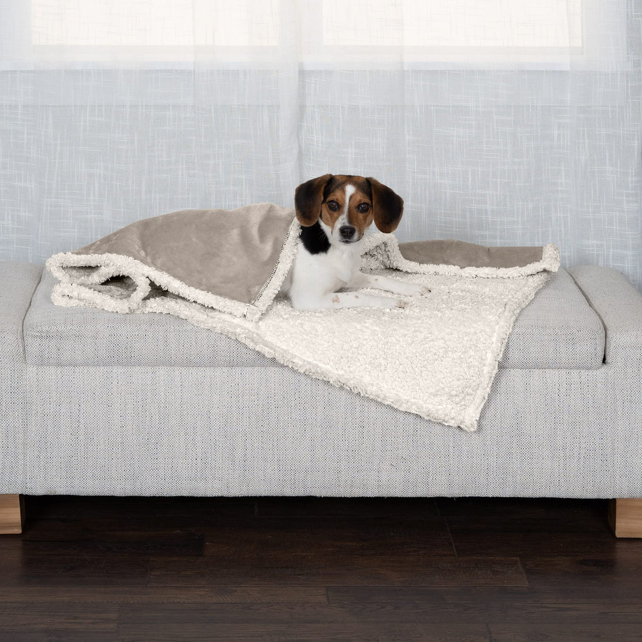 Furhaven Waterproof & Self-Warming Throw Blanket for Dogs & Indoor Cats, Washable & Reflects Body Heat - Soft-Edged Terry & Sherpa Dog Blanket - Dove, Medium Blanket - Soft Edged Terry & Sherpa (Dove) Self-Warming & Waterproof