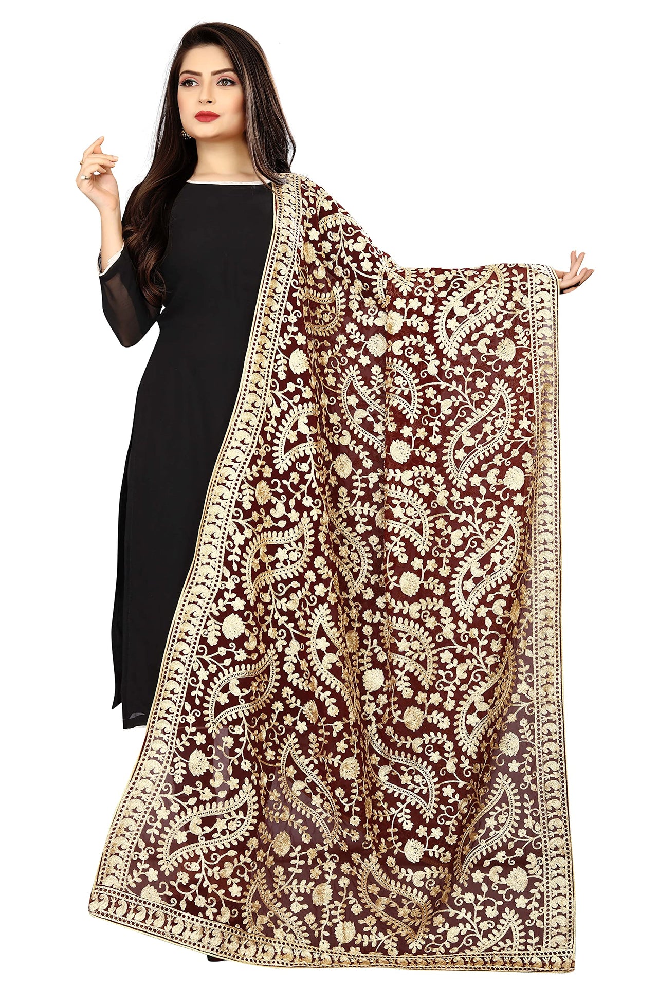 AKSHAR LLC Women's  Embroidered Chiffon Dupatta