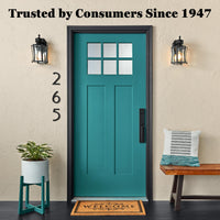 Krylon K09901A00 Leafing Pen, Gold, .33 Ounce, 1 Count (Pack of 1)