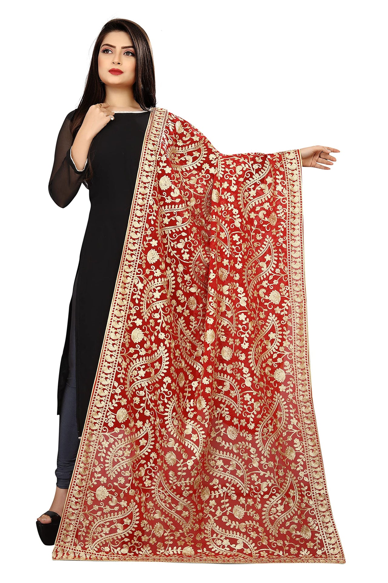 AKSHAR LLC Women's  Embroidered Chiffon Dupatta