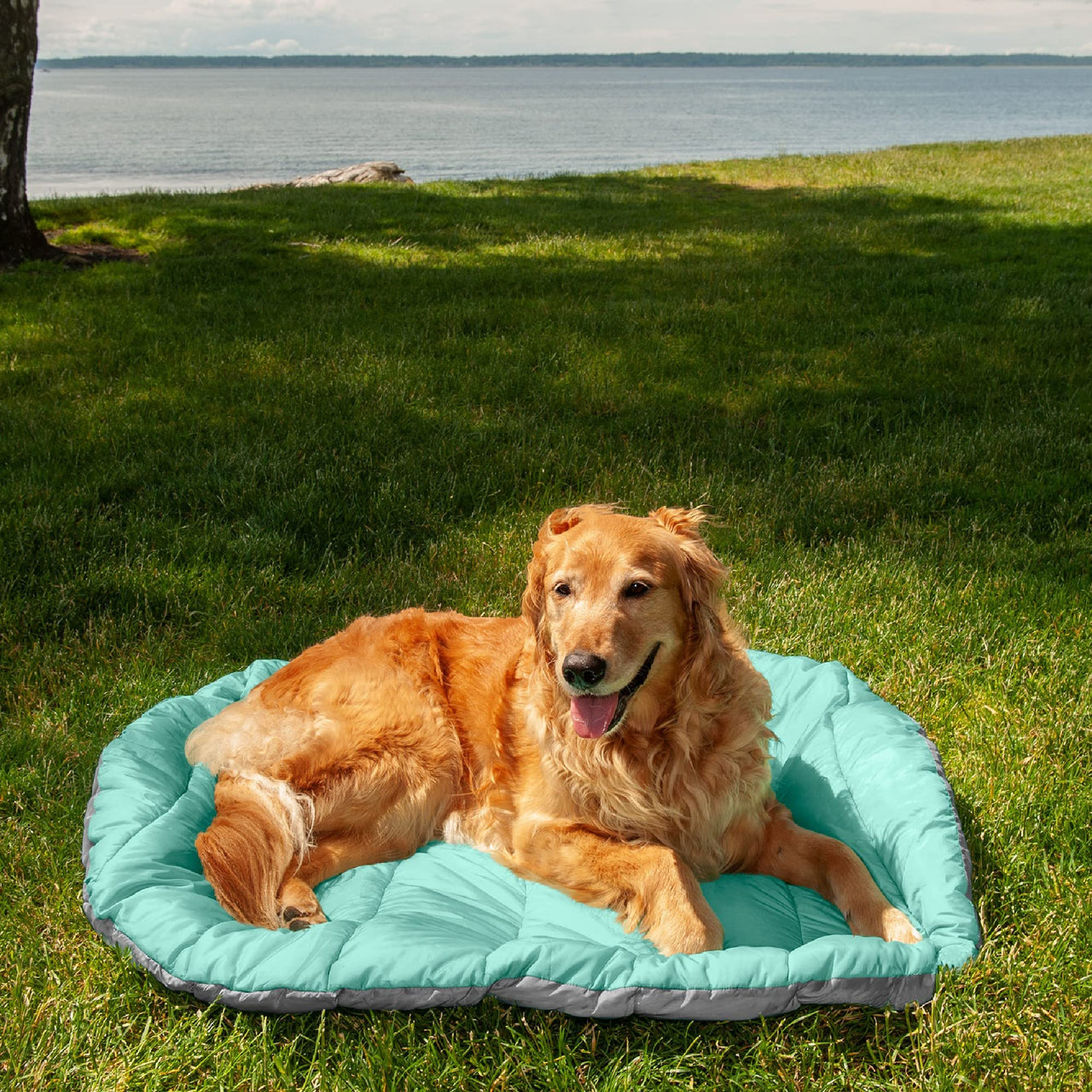Furhaven Outdoor Travel Dog Bed for Large/Medium Dogs w/ Carry Bag, Washable & Foldable, Great for Crates & Kennels - Trail Pup Travel Pillow Mat w/ Stuff Sack Bag - Aqua/Granite Gray, Large