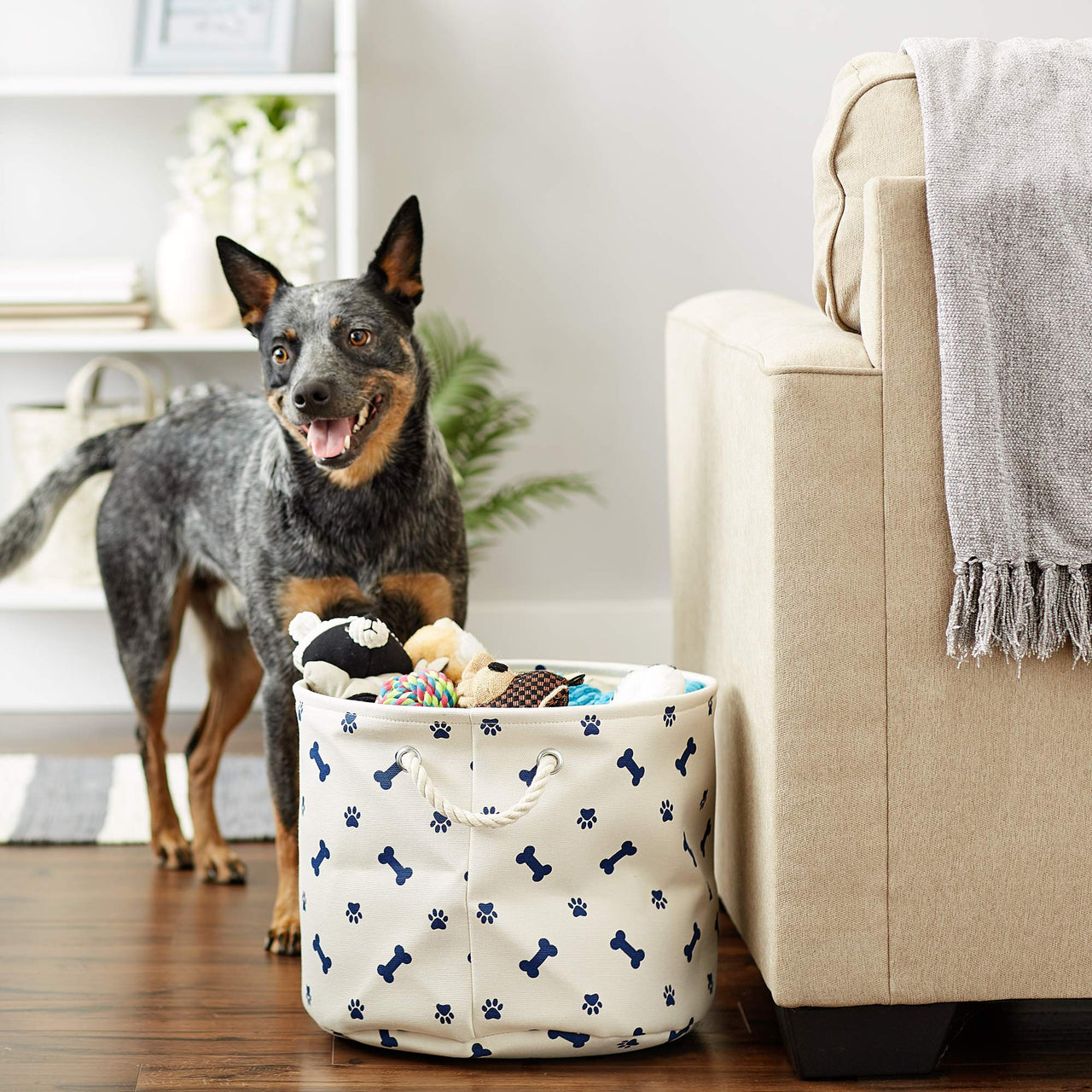 Bone Dry 5511 Pet Storage Collection Paw and Bone Print, Medium Round, Nautical Blue Medium Round, 12x15x15"