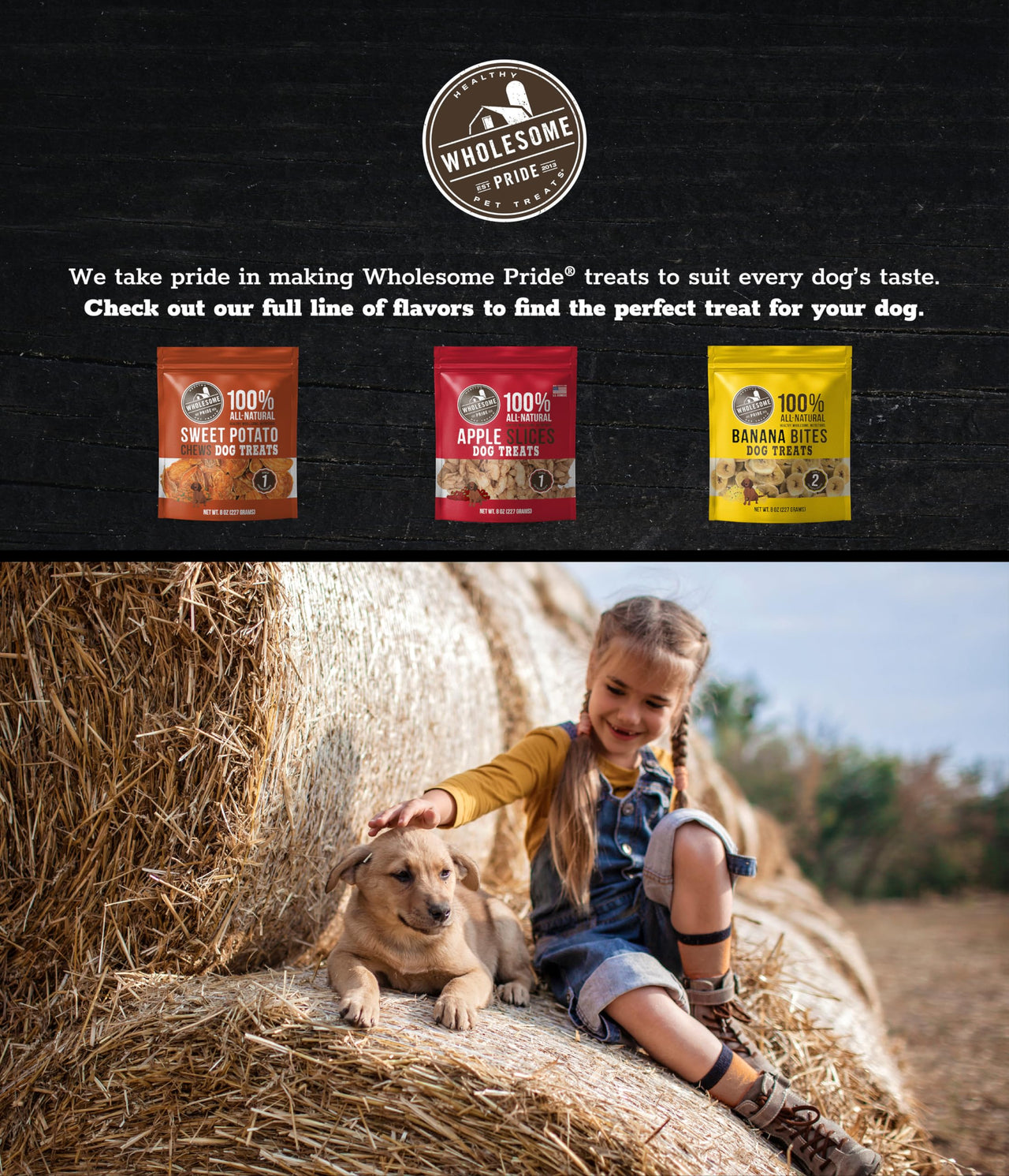 Wholesome Pride Sweet Potato Fries All-Natural Single Ingredient Dog Treats, 16 oz 16 Ounce (Pack of 1)