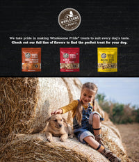 Wholesome Pride Sweet Potato Fries All-Natural Single Ingredient Dog Treats, 16 oz 16 Ounce (Pack of 1)