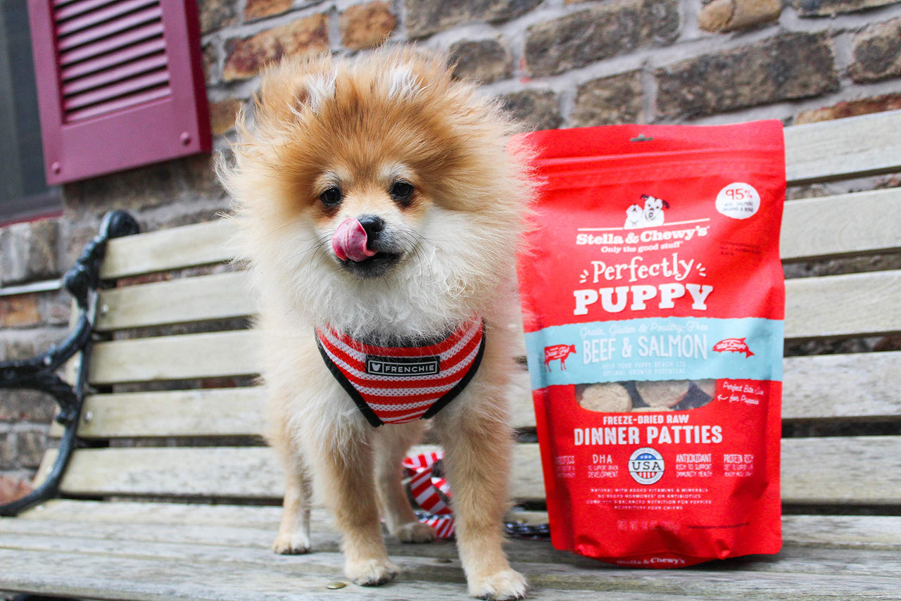 Stella & Chewy's  Freeze Dried Raw Dinner Patties – Crafted for Puppies – Grain Free, Protein Rich Perfectly Puppy Beef & Salmon Recipe – 14 oz Bag 14 Ounce (Pack of 1)