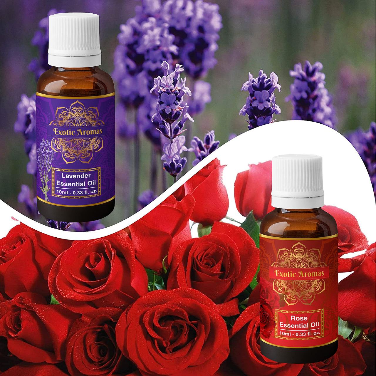Exotic Aromas Lavender Essential Oil & Rose Oil, Pack of 2