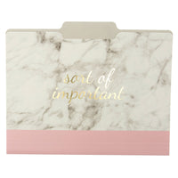 Graphique Blush Marble File Folder Set – File Set Includes 9 Folders and 3 Unique 