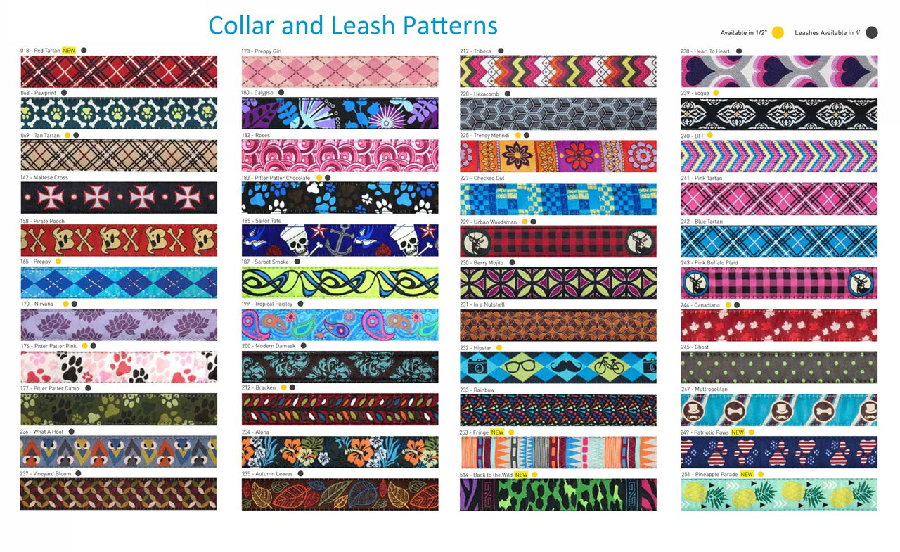 RC Pets 1 Inch Adjustable Dog Clip Collar, Medium, Pineapple Parade M (Neck: 12"-20", Strap Width: 1")