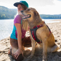 Kurgo Dog Harness for Medium, & Small Active Dogs, Pet Hiking Harness for Running & Walking, Everyday Harnesses for Pets, Reflective, Journey Air, Red/Grey 2018, Large