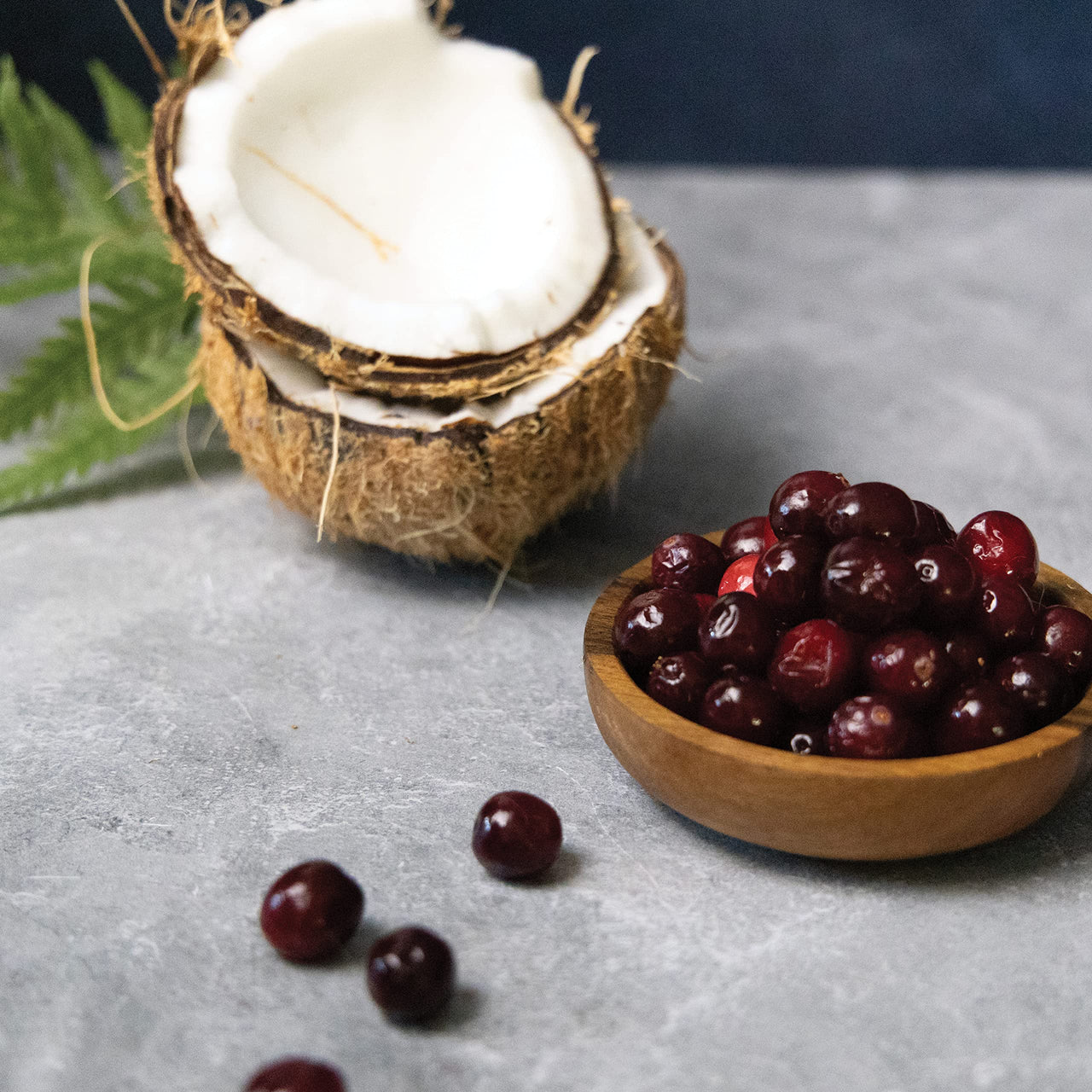 Nulo Functional Granola Bars, Healthy Dog Treats, Oven Baked, Made with Prebiotics and Probiotics, Contains No Added Salt, Sugar, or Molasses, 10 Ounce Bag Omega