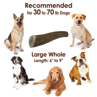 Elk Antler Chews for Dogs | Naturally Shed USA Collected Elk Antlers | All Natural A-Grade Premium Elk Antler Dog Chews | Product of USA, Single Pack Large Whole Large (Pack of 1)