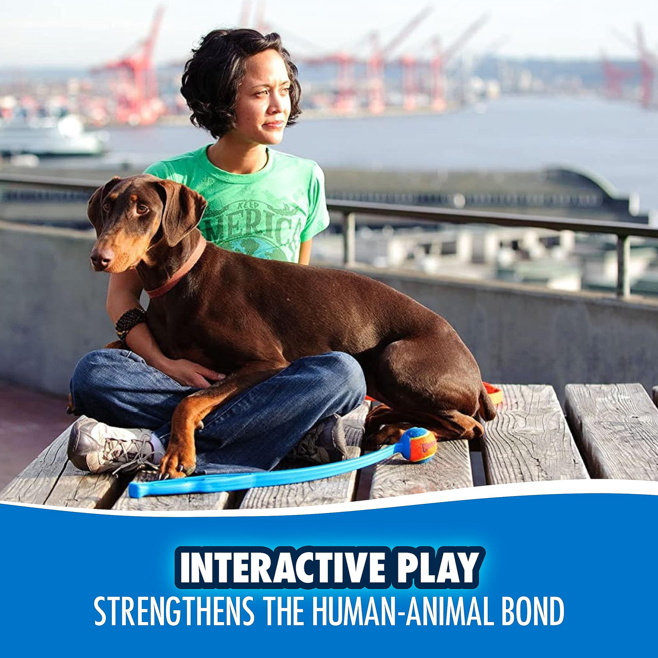 Chuckit Pro 18M Dog Ball Launcher, 18" Length, Includes Medium Ball (2.5") For Dogs 20-60 Pounds Medium Ball (2.5") 18" Length Pro Launcher Animal Print