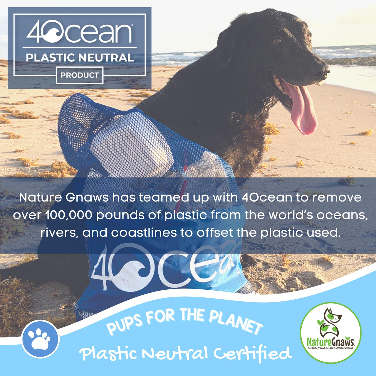 Nature Gnaws Elk Antlers for Large Dogs - Premium Natural USA Antler - Long Lasting Dog Bones for Aggressive Chewers - 5-8 Inch Mix of Split and Whole 5 Count (Pack of 1)