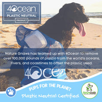 Nature Gnaws Elk Antlers for Large Dogs - Premium Natural USA Antler - Long Lasting Dog Bones for Aggressive Chewers - 5-8 Inch Mix of Split and Whole 5 Count (Pack of 1)