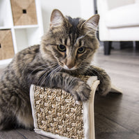 Petlinks Sea Ramp Seagrass Angled Cat Scratcher, Catnip Included - Randomly Selected Color, One Size