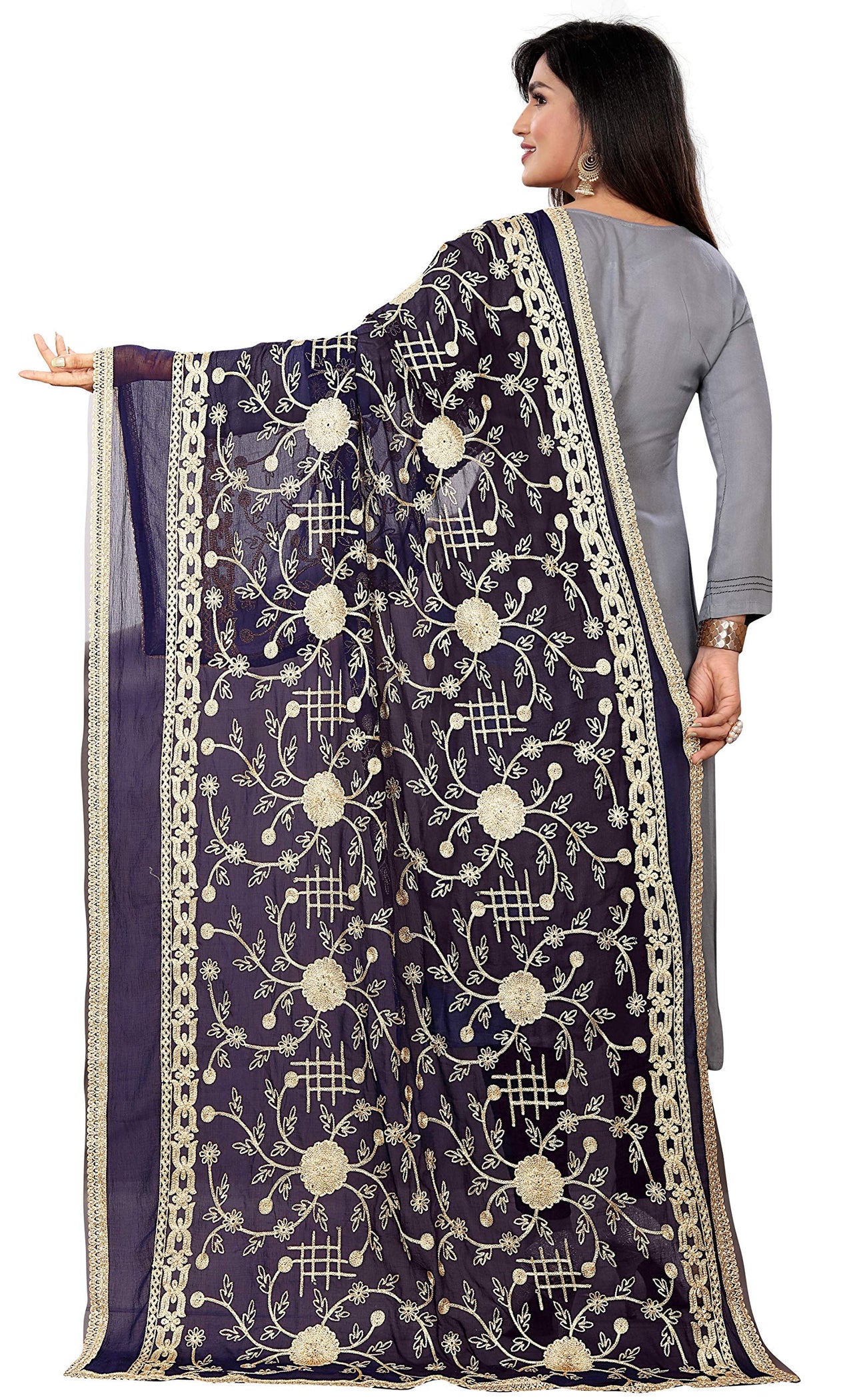 AKSHAR LLC Miss India Women's  Chiffon Dupatta With Karachi Embroidery Work