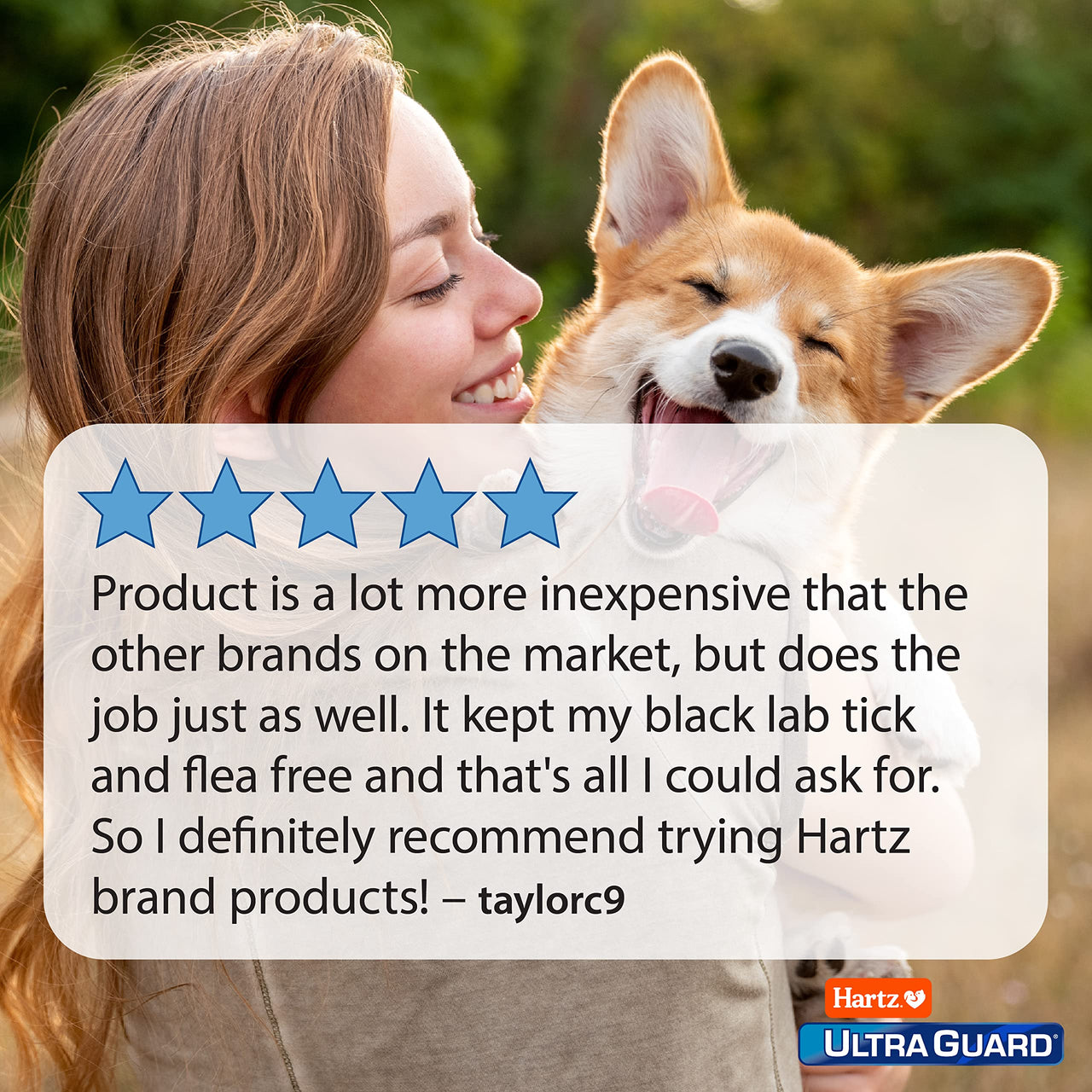 Hartz UltraGuard Dual Action Flea & Tick Topical Dogs & Puppies Treatment & Prevention, 6 Months, 31-60 lbs