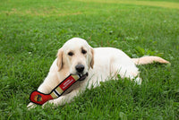 Pets First Dog Toy Tough Nylon with Inner Squeaker Licensed by NHL Chicago Blackhawks Hockey Stick Toy for Dogs & Cats. Play Hockey with Your Pet with This Licensed Dog Tough Toy