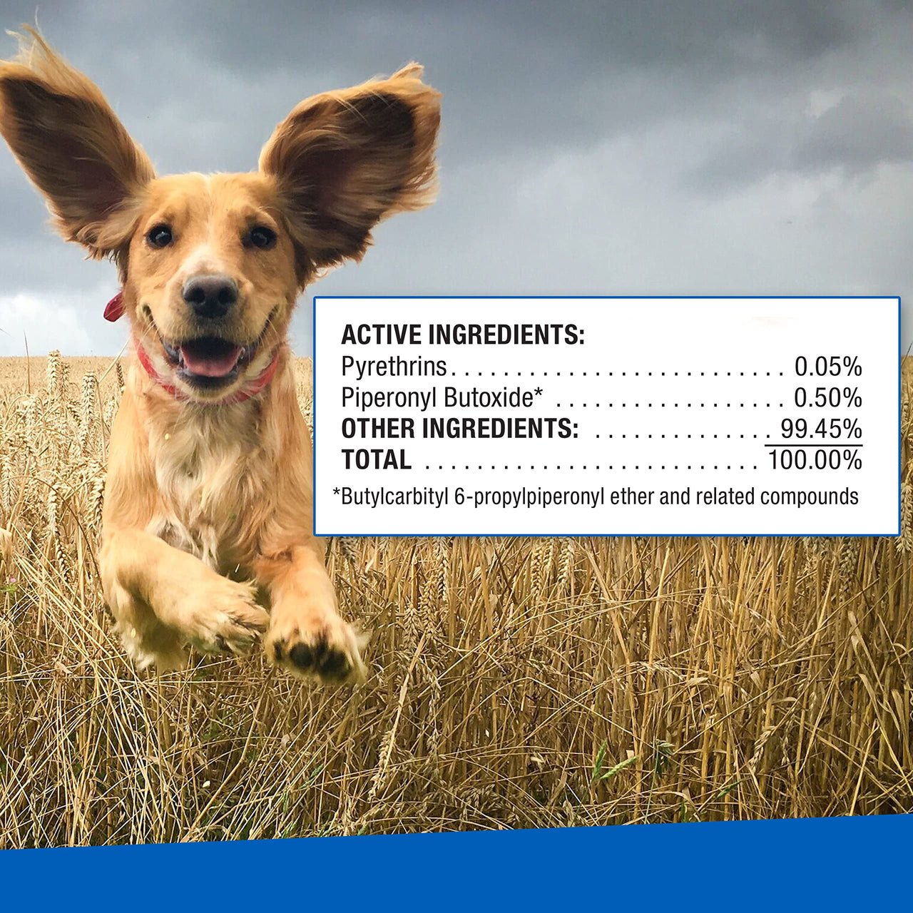 Adams Ear Mite Treatment For Dogs and Cats Over 12 Weeks, Kills Ear Mites On Contact, Relief For Dogs and Cats Suffering From Ear Mites, Soothing Aloe and Lanolin Formula .5 Fl Oz