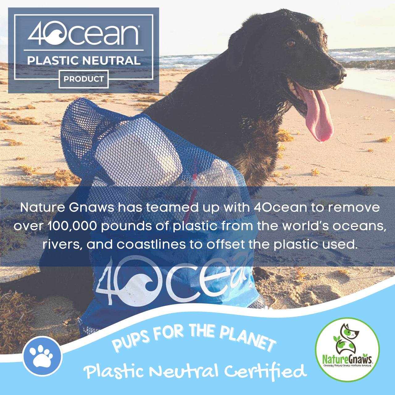 Nature Gnaws - Turkey Tendons for Dogs - Premium Natural Chew Treats - Delicious Reward Snack for Small Medium & Large Dogs - Made in The USA - 1 lb