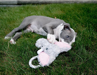 Jolly Pets Jolly Tug-a-Mal Giraffe Tug/Squeak Toy, Large