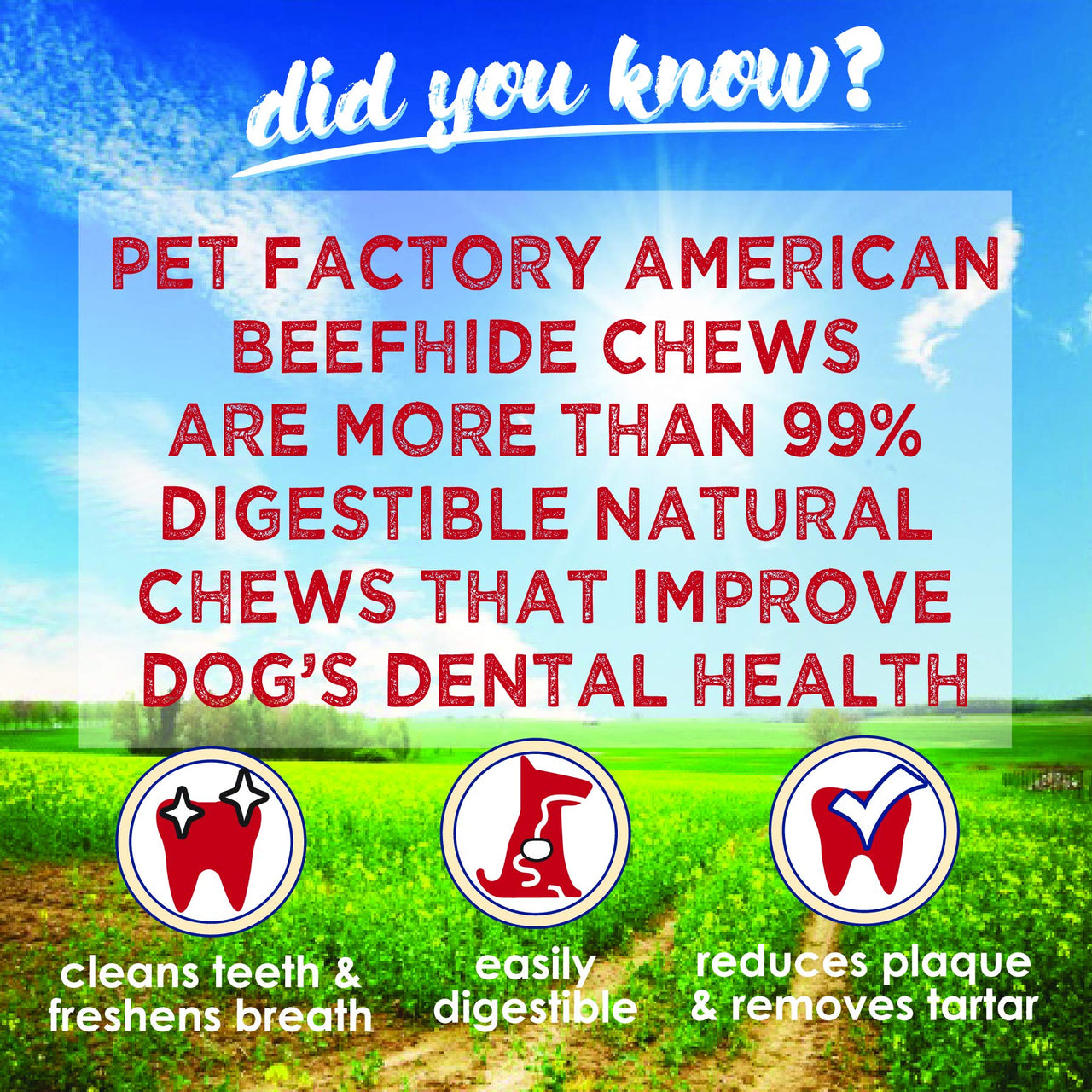 Pet Factory American Beefhide 3" Donuts Dog Chew Treats - Chicken Flavor, 8 Count/1 Pack 11.18 Ounce (Pack of 1)