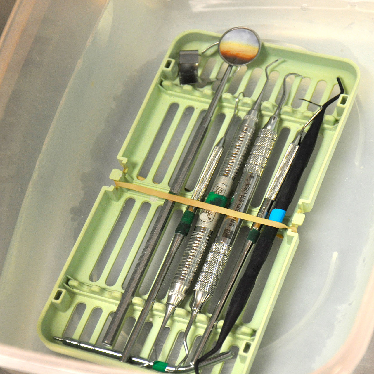 Alliance Rubber Bands (Alliance Rubber),Beige