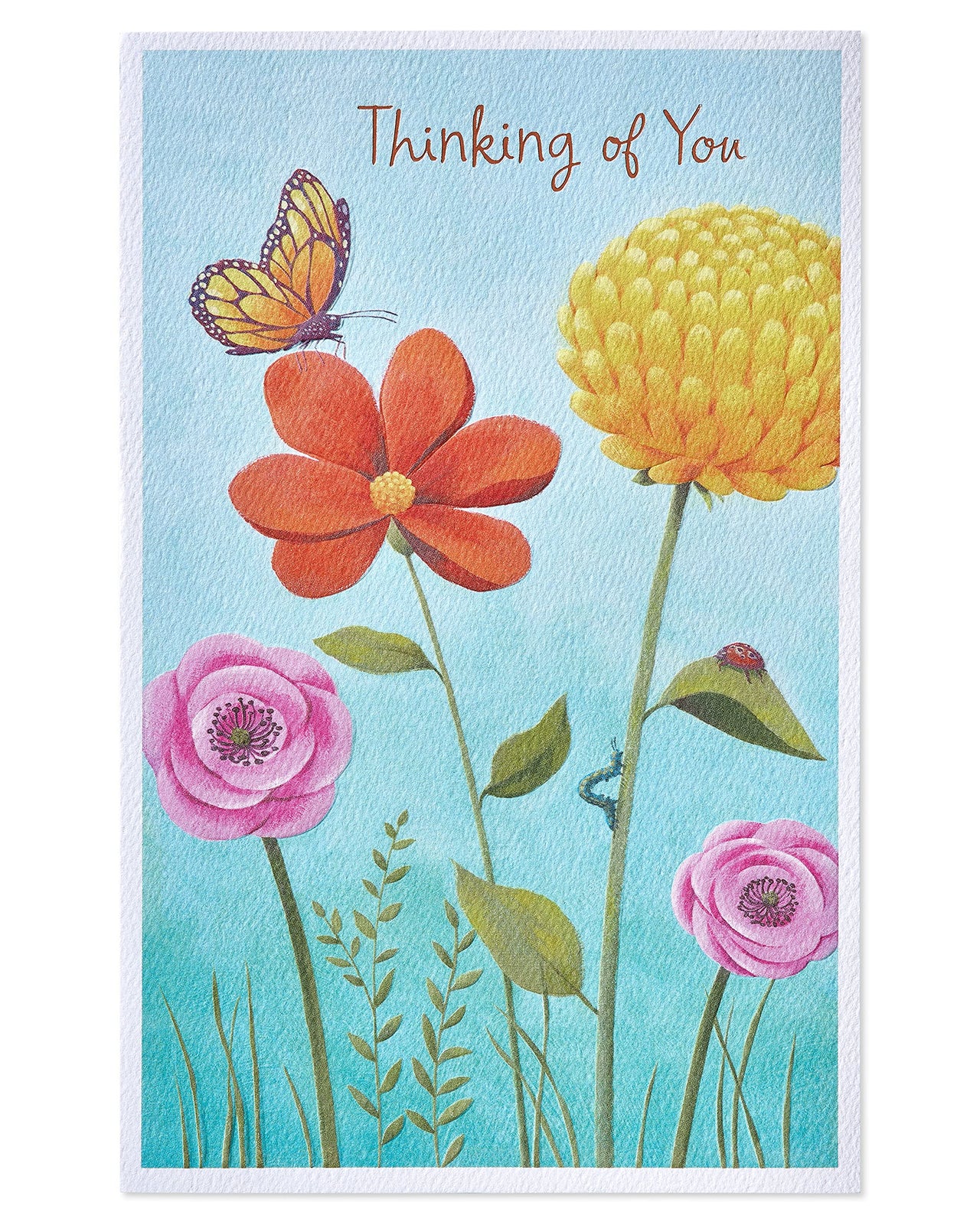 American Greetings Thinking of You Card (Brighten Up Your Day) Brighten Up Your Day