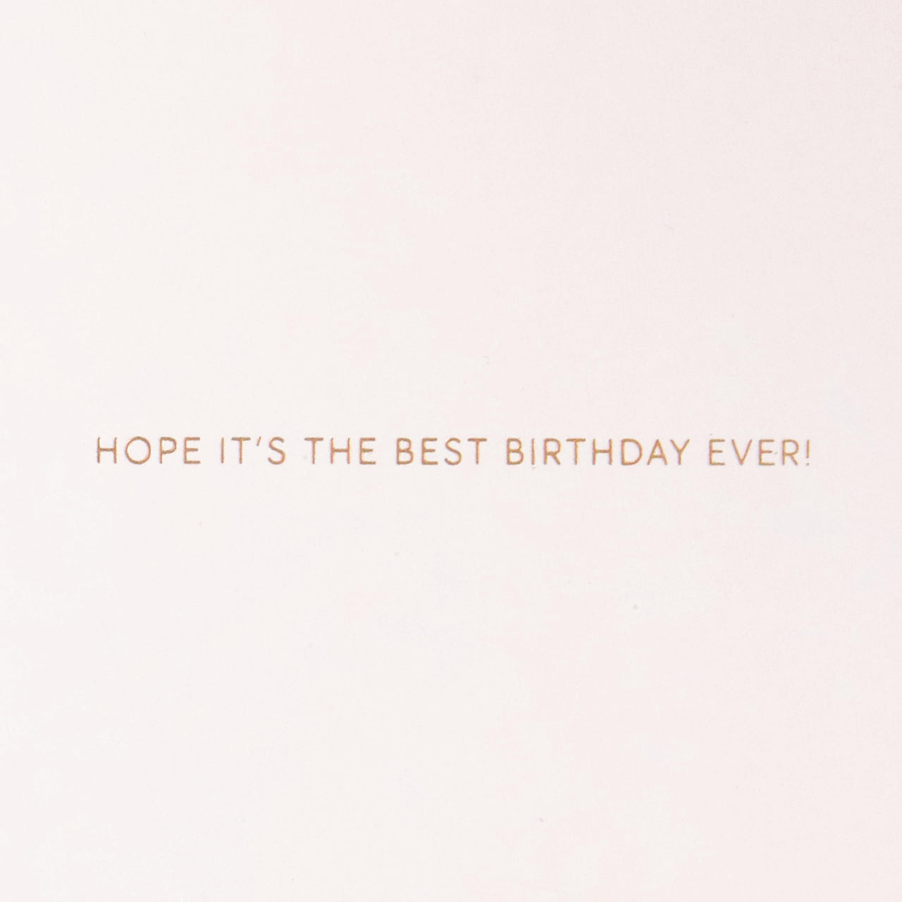 Hallmark Signature Birthday Card (Best Birthday Ever) Light Blue