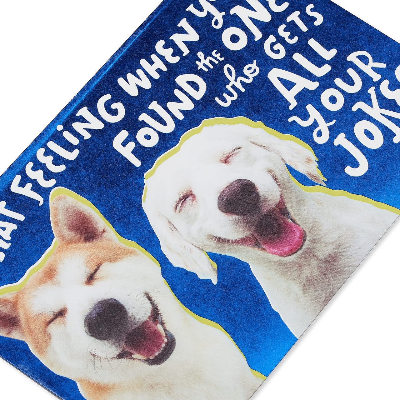 American Greetings Funny Anniversary Card for Couple from Us (Love and Laughs)