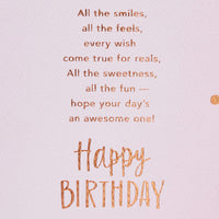 American Greetings Birthday Card for Sister (Hooray!) Hooray!