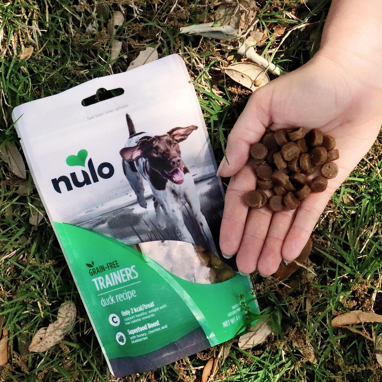 Nulo Freestyle Grain-Free Healthy Dog and Puppy Training Treats, Low Calorie Treats Made with Superfood Boost Ingredients, 2 Calories per Treat, 4 oz. Variety Pack Variety Flavor 12 Ounce (Pack of 1)